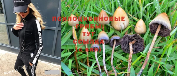 марки nbome Вяземский