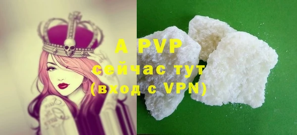 марки nbome Вяземский